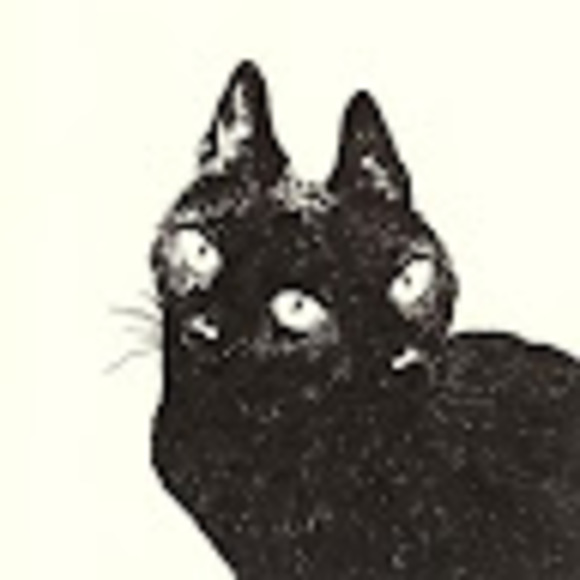 Meet your Posher, Vicky - Picture 1 of 1